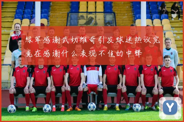 绿军感谢武切维奇引发球迷热议究竟在感谢什么表现不佳的中锋