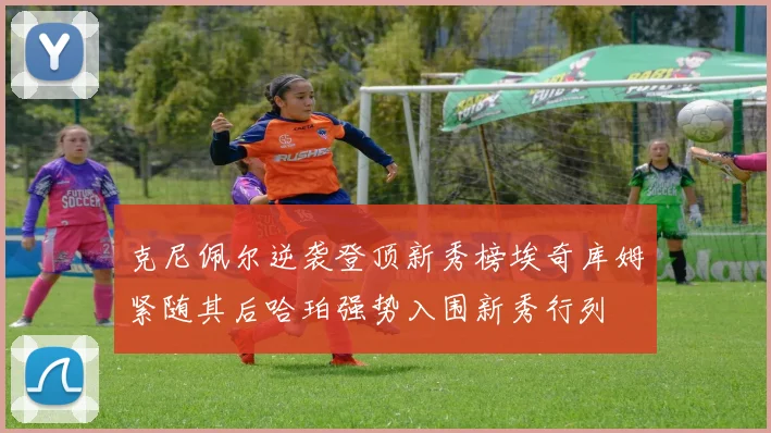 克尼佩尔逆袭登顶新秀榜埃奇库姆紧随其后哈珀强势入围新秀行列