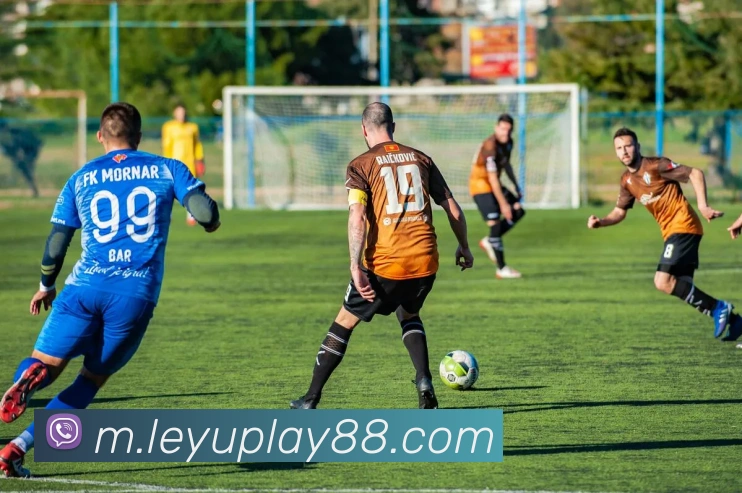 乐鱼体育APP 封面图